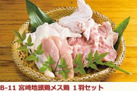 全国のふるさと納税情報ページ。宮崎県川南町のふるさと納税情報。宮崎県川南町のふるさと納税はSUNチャンネルで。