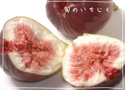 全国のふるさと納税情報ページ。愛知県碧南市のふるさと納税情報。愛知県碧南市のふるさと納税はSUNチャンネルで。