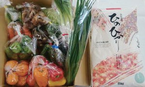 全国のふるさと納税情報ページ。宮崎県西都市のふるさと納税情報。宮崎県西都市のふるさと納税はSUNチャンネルで。