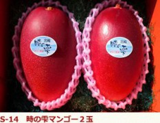 全国のふるさと納税情報ページ。宮崎県川南町のふるさと納税情報。宮崎県川南町のふるさと納税はSUNチャンネルで。