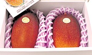全国のふるさと納税情報ページ。宮崎県日向市のふるさと納税情報。宮崎県日向市のふるさと納税はSUNチャンネルで。