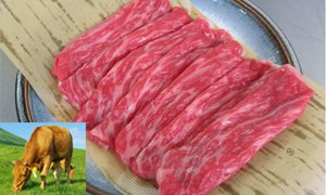 全国のふるさと納税情報ページ。熊本県のふるさと納税情報。熊本県のふるさと納税はSUNチャンネルで。