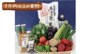 全国のふるさと納税情報ページ。長野県木島平村のふるさと納税情報。長野県木島平村のふるさと納税はSUNチャンネルで。
