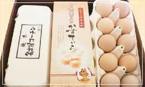 全国のふるさと納税情報ページ。愛知県小牧市のふるさと納税情報。愛知県小牧市のふるさと納税はSUNチャンネルで。