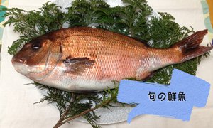 全国のふるさと納税情報ページ。兵庫県淡路市のふるさと納税情報。兵庫県淡路市のふるさと納税はSUNチャンネルで。