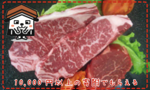 全国のふるさと納税情報ページ。鳥取県倉吉市のふるさと納税情報。鳥取県倉吉市のふるさと納税はSUNチャンネルで。