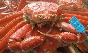 全国のふるさと納税情報ページ。石川県輪島市のふるさと納税情報。石川県輪島市のふるさと納税はSUNチャンネルで。