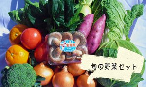 全国のふるさと納税情報ページ。兵庫県淡路市のふるさと納税情報。兵庫県淡路市のふるさと納税はSUNチャンネルで。
