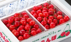 全国のふるさと納税情報ページ。山形県天童市のふるさと納税情報。山形県天童市のふるさと納税はSUNチャンネルで。