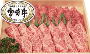 全国のふるさと納税情報ページ。宮崎県日向市のふるさと納税情報。宮崎県日向市のふるさと納税はSUNチャンネルで。