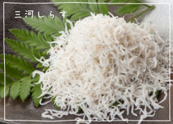 全国のふるさと納税情報ページ。愛知県碧南市のふるさと納税情報。愛知県碧南市のふるさと納税はSUNチャンネルで。