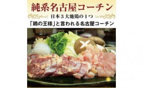 pd_02b12734ec7b523efbcc70eee261fd0a9f19e9c1