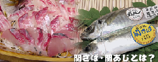 seiisaba