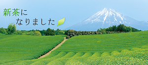 おちゃ