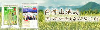あきたこまち