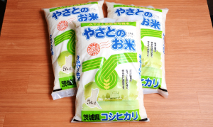 全国のふるさと納税情報ページ。茨城県石岡市のふるさと納税情報。茨城県石岡市のふるさと納税はSUNチャンネルで。
