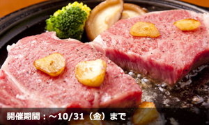 全国のふるさと納税情報ページ。長崎県平戸市のふるさと納税情報。長崎県平戸市のふるさと納税はSUNチャンネルで。