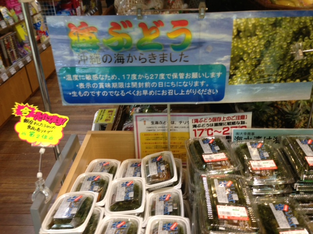 海ぶどう